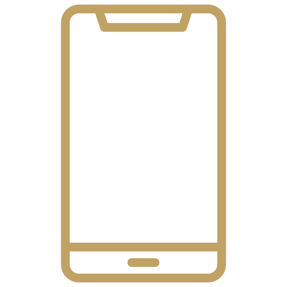 icone-teleconsultation.webp