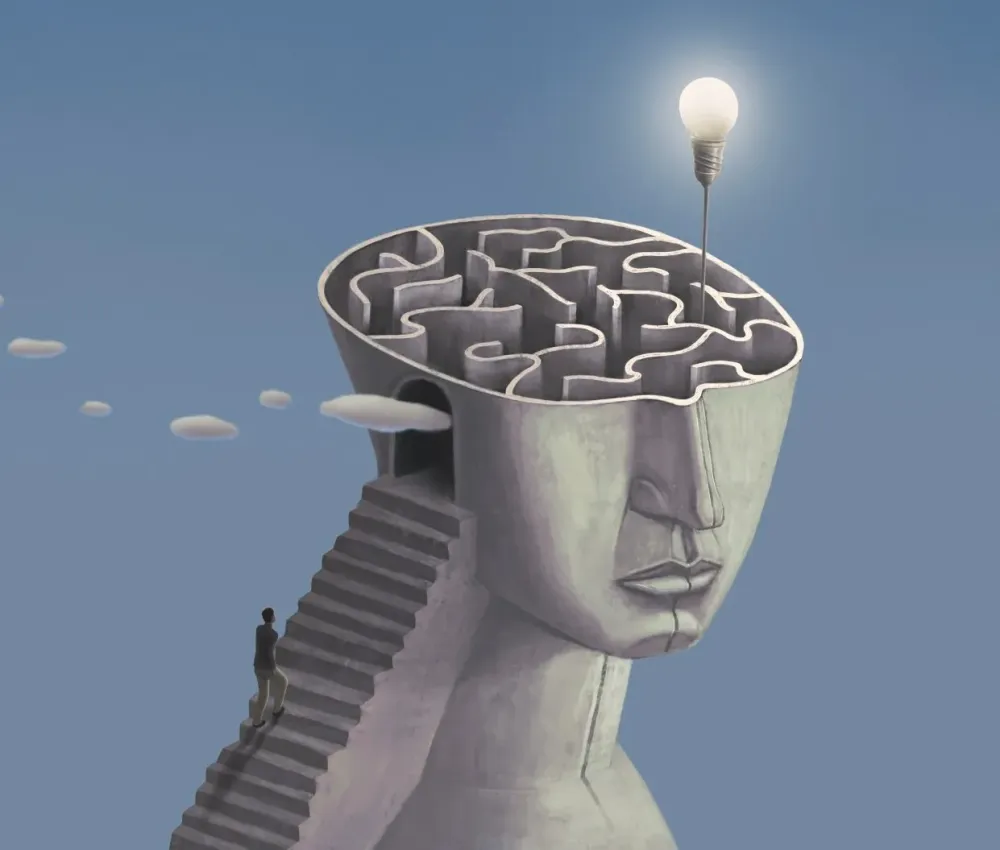 img-qi-2